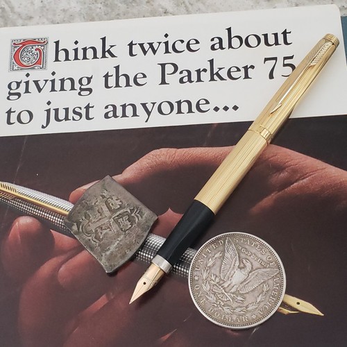 Penna stilografica parker - stilografica, 75