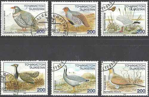Francobolli bird tagikistan - francobolli,